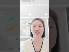 स्मार्ट मैग्नेटिक इलेक्ट्रिक सोलेनॉइड लॉक स्टेनलेस स्टील एसएम कनेक्टर